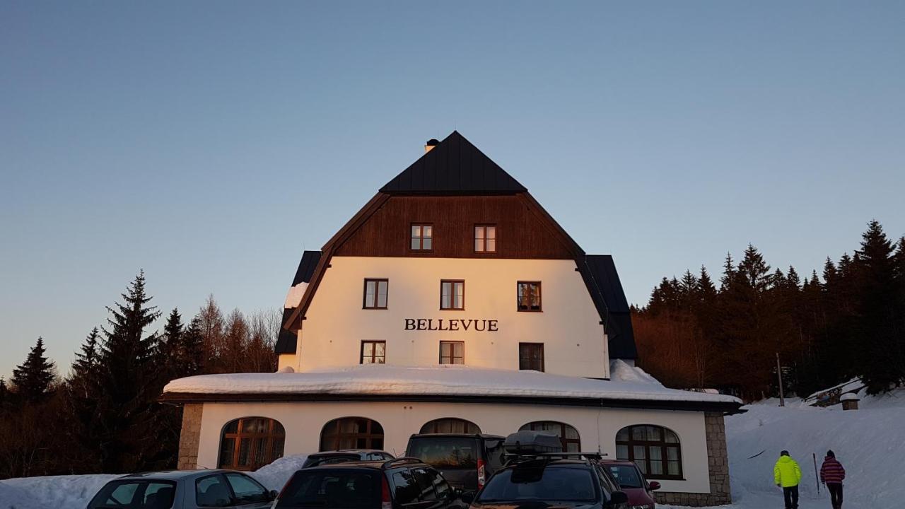 Luxusni Mezonetovy Apartman Bellevue - Novy Benecko Exteriör bild