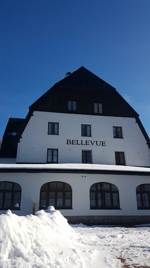 Luxusni Mezonetovy Apartman Bellevue - Novy Benecko Exteriör bild